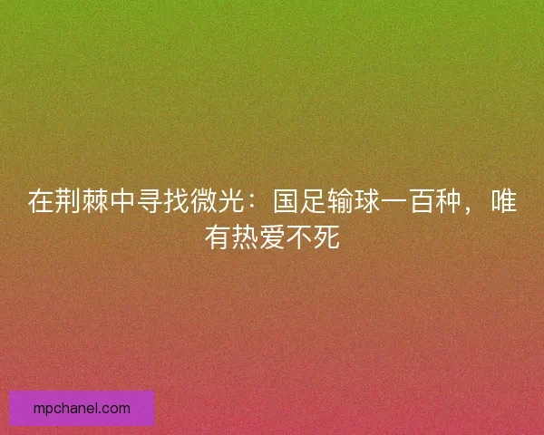 在荆棘中寻找微光：国足输球一百种，唯有热爱不死