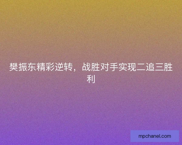 樊振东精彩逆转，战胜对手实现二追三胜利